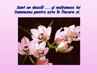 Sunt un   dascăl ... şi mulţumesc lui Dumnezeu pentru asta în fiecare zi.   