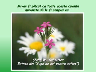 Mi-ar fi plăcut ca toate aceste cuvinte minunate să le fi compus eu.  ( John W. Schaltter Extras din "Supa de pui pentru suflet“ ) 