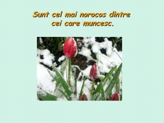 Sunt cel mai norocos dintre  cei care muncesc. 