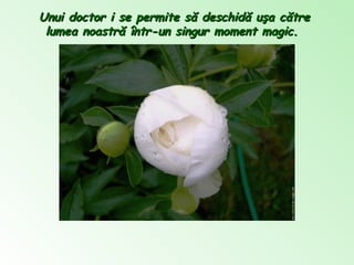 Unui doctor i se permite să deschid ă  uşa către lumea noastră într-un singur moment magic.   