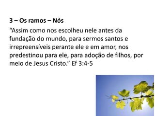 3 – Os ramos – Nós
“Assim como nos escolheu nele antes da
fundação do mundo, para sermos santos e
irrepreensíveis perante ele e em amor, nos
predestinou para ele, para adoção de filhos, por
meio de Jesus Cristo.” Ef 3:4-5
 