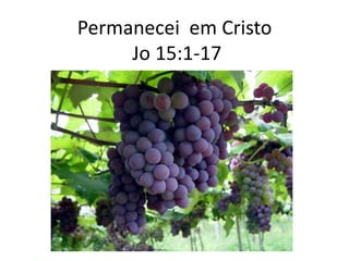 Permanecei em Cristo
Jo 15:1-17
 
