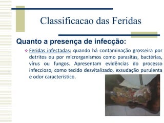 Quanto a presença de infecção:
 Feridas infectadas: quando há contaminação grosseira por
detritos ou por microrganismos como parasitas, bactérias,
vírus ou fungos. Apresentam evidências do processo
infeccioso, como tecido desvitalizado, exsudação purulenta
e odor característico.
Classificacao das Feridas
 
