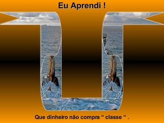 Eu Aprendi ! Que dinheiro não compra “ classe “ . 