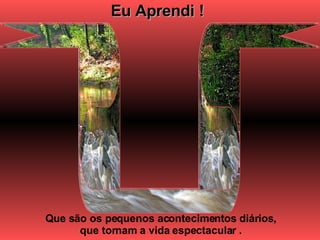 Eu Aprendi ! Que são os pequenos acontecimentos diários, que tornam a vida espectacular . 