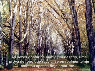 Às vezes gostar de mim é um desafio, uma prova de fogo que revela  se eu realmente me amo, ou apenas finjo amar-me... 