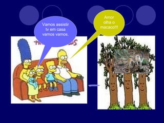 Amor olha o macaco!!! Vamos assistir tv em casa vamos vamos.  