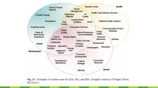 The Roles of the European Union in Promoting Sustainable Development | PDF