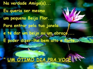 Na verdade Amigo(a)... Eu queria ser mesmo  um pequeno Beija Flor... Para entrar pela tua janela  e te dar um beijo ou um abraço.... E poder dizer-lhe bem alto e forte... “  UM ÓTIMO DIA PRA VOCÊ . “ 