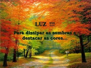 LUZ  !!! Para dissipar as sombras e destacar as cores... 