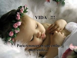 Para renascer os que estão morrendo... VIDA  !!! 