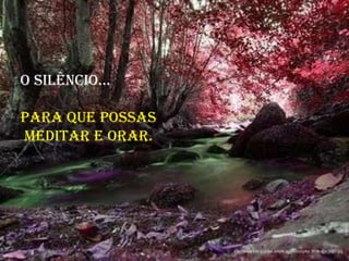 O SILÊNCIO...  para que possas meditar e orar.  
