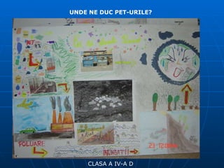 CLASA A IV-A D UNDE NE DUC PET-URILE? 