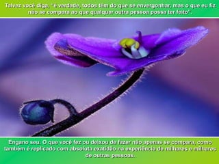 Talvez você diga, “é verdade, todos têm do que se envergonhar, mas o que eu fiz
         não se compara ao que qualquer outra pessoa possa ter feito”.




  Engano seu. O que você fez ou deixou de fazer não apenas se compara, como
também é replicado com absoluta exatidão na experiência de milhares e milhares
                              de outras pessoas.
 