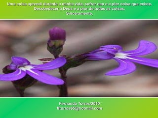 Uma coisa aprendi durante a minha vida, sofrer nao e a pior coisa que existe.
             Desobedecer a Deus e a pior de todas as coisas.
                             Sinceramente,




                            Fernanda Torres/2010
                          fftorres65@hotmail.com
 