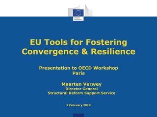 EU Tools for Fostering
Convergence & Resilience
Presentation to OECD Workshop
Paris
Maarten Verwey
Director General
Structural Reform Support Service
5 February 2019
 