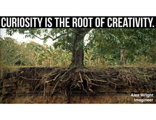 Curiosity is the root of creativity.
Alex Wright
Imagineer
 