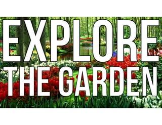 EXPLORE
THE GARDEN
EXPLORE
THE GARDEN
 