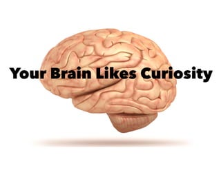 Your Brain Likes Curiosity
 