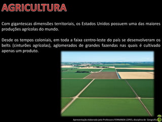 Apresentação elaborada pela Professora FERNANDA LOPES, disciplina de Geografia
Com gigantescas dimensões territoriais, os Estados Unidos possuem uma das maiores
produções agrícolas do mundo.
Desde os tempos coloniais, em toda a faixa centro-leste do país se desenvolveram os
belts (cinturões agrícolas), aglomerados de grandes fazendas nas quais é cultivado
apenas um produto.
 