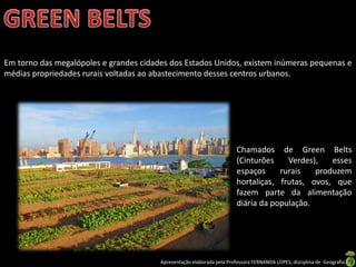Apresentação elaborada pela Professora FERNANDA LOPES, disciplina de Geografia
Em torno das megalópoles e grandes cidades dos Estados Unidos, existem inúmeras pequenas e
médias propriedades rurais voltadas ao abastecimento desses centros urbanos.
Chamados de Green Belts
(Cinturões Verdes), esses
espaços rurais produzem
hortaliças, frutas, ovos, que
fazem parte da alimentação
diária da população.
 