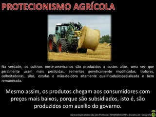 Apresentação elaborada pela Professora FERNANDA LOPES, disciplina de Geografia
Na verdade, os cultivos norte-americanos são produzidos a custos altos, uma vez que
geralmente usam mais pesticidas, sementes geneticamente modificadas, tratores,
colheitadeiras, silos, estufas e mão-de-obra altamente qualificada/especializada e bem
remunerada.
Mesmo assim, os produtos chegam aos consumidores com
preços mais baixos, porque são subsidiados, isto é, são
produzidos com auxílio do governo.
 