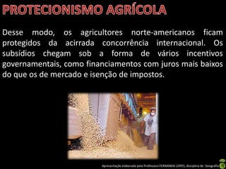 Apresentação elaborada pela Professora FERNANDA LOPES, disciplina de Geografia
Desse modo, os agricultores norte-americanos ficam
protegidos da acirrada concorrência internacional. Os
subsídios chegam sob a forma de vários incentivos
governamentais, como financiamentos com juros mais baixos
do que os de mercado e isenção de impostos.
 