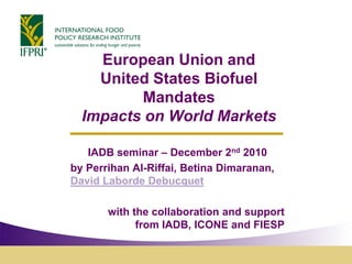 European Union and
    United States Biofuel
         Mandates
  Impacts on World Markets

   IADB seminar – December 2nd 2010
by Perrihan Al-Riffai, Betina Dimaranan,
David Laborde Debucquet

       with the collaboration and support
             from IADB, ICONE and FIESP
 
