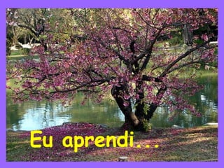 Eu aprendi...