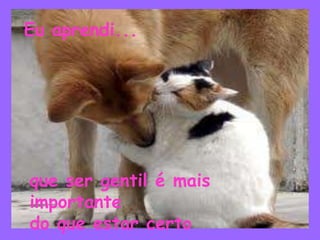 que ser gentil é mais
importante
do que estar certo
Eu aprendi...