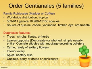 Order Gentianales (5 families) Family Rubiaceae (Madder or Coffee) Worldwide distribution, tropical 563-611 genera/10,900-13150 species Source of quinine, coffee, yohimbine, timber, dye, ornamental Diagnostic features: Trees , shrubs, lianas, or herbs Leaves opposite (Decussate) or whorled, simple usually entire. Connate stipules with mucilage-secreting colleters Cyme, rarely of solitary flowers Inferior ovary Apical nectary disc Capsule, berry or drupe or schizocarp 