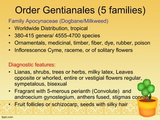 Order Gentianales (5 families) Family Apocynaceae (Dogbane/Milkweed) Worldwide Distribution, tropical 380-415 genera/ 4555-4700 species Ornamentals, medicinal, timber, fiber, dye, rubber, poison Inflorescence Cyme, raceme, or of solitary flowers  Diagnostic features:   Lianas, shrubs, trees or herbs, milky latex, Leaves opposite or whorled, entire or vestigial flowers regular, sympetalous, bisexual Fragrant with 5-merous perianth (Convolute)  and androecium gynostegium, anthers fused, stigmas connate Fruit follicles or schizocarp, seeds with silky hair 