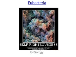Eubacteria IB Biology 
