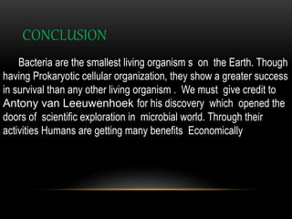 CONCLUSION
Bacteria are the smallest living organism s on the Earth. Though
having Prokaryotic cellular organization, they show a greater success
in survival than any other living organism . We must give credit to
Antony van Leeuwenhoek for his discovery which opened the
doors of scientific exploration in microbial world. Through their
activities Humans are getting many benefits Economically
 
