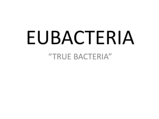 EUBACTERIA
“TRUE BACTERIA”
 