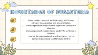 Eubacteria increase soil fertility through nitrification,
nitrogen-fixing process, and ammonification.
Various species of eubacteria are used in the synthesis of
vitamins.
Various species of eubacteria are used in the synthesis of
vitamins.
Used for the degradation of petroleum hydrocarbons.
Some eubacteria are used for insect control.
IMPORTANCE OF EUBACTERIA
IMPORTANCE OF EUBACTERIA
 