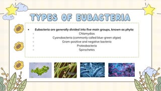 Eubacteria are generally divided into five main groups, known as phyla:
Chlamydias
Cyanobacteria (commonly called blue-green algae)
Gram-positive and negative bacteria
Proteobacteria
Spirochetes
TYPES OF EUBACTERIA
TYPES OF EUBACTERIA
 