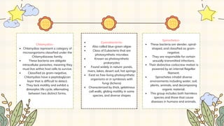 Cyanobacteria-
Also called blue-green algae
Class of Eubacteria that are
photosynthetic microbes
Known as photosynthetic
prokaryotes
Found widely in nature: ponds,
rivers, lakes, desert soil, hot springs
Exist as free-living photosynthetic
organisms or in symbiosis with
fungi (lichens)
Characterized by thick, gelatinous
cell walls, gliding motility in some
species, and diverse shapes
Chlamydias-
Chlamydias represent a category of
microorganisms classified under the
Chlamydiaceae family.
These bacteria are obligate
intracellular parasites, meaning they
must live within host cells to survive.
Classified as gram-negative,
Chlamydias have a peptidoglycan
layer that is difficult to detect.
They lack motility and exhibit a
dimorphic life cycle, alternating
between two distinct forms.
Spirochetes-
These bacteria are slender, spiral-
shaped, and classified as gram-
negative.
They are responsible for certain
sexually transmitted infections.
Their distinctive corkscrew motion is
powered by an internal flagellar
filament.
Spirochetes inhabit diverse
environments including water, soil,
plants, animals, and decomposing
organic material.
This group includes both harmless
species and those that cause
diseases in humans and animals.
 