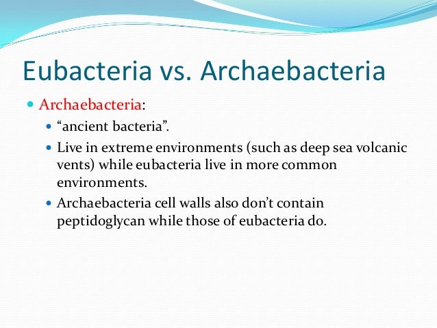 archaebacteria and eubacteria ppt Eubacteria ppt.