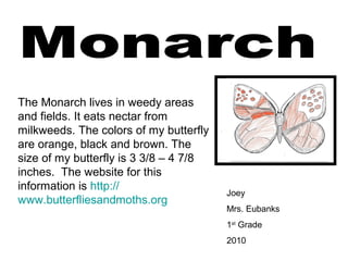 Joey
Mrs. Eubanks
1st
Grade
2010
The Monarch lives in weedy areas
and fields. It eats nectar from
milkweeds. The colors of my butterfly
are orange, black and brown. The
size of my butterfly is 3 3/8 – 4 7/8
inches. The website for this
information is http://
www.butterfliesandmoths.org
 