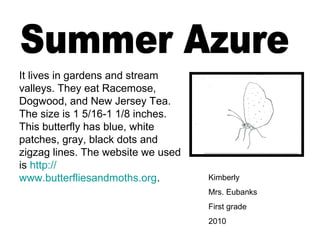 Kimberly
Mrs. Eubanks
First grade
2010
It lives in gardens and stream
valleys. They eat Racemose,
Dogwood, and New Jersey Tea.
The size is 1 5/16-1 1/8 inches.
This butterfly has blue, white
patches, gray, black dots and
zigzag lines. The website we used
is http://
www.butterfliesandmoths.org.
 