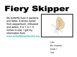 Luke
Mrs. Eubanks
Grade 1
Year
My butterfly lives in gardens
and fields. It drinks nectar
from pepperbush, milkweed
and asters. It is 1 ¼-1 ½
inches in size. I got my
information from
www.butterfliesandmoths.org
 