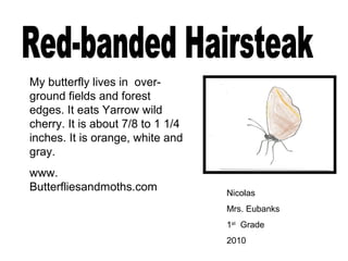 Nicolas
Mrs. Eubanks
1st
Grade
2010
My butterfly lives in over-
ground fields and forest
edges. It eats Yarrow wild
cherry. It is about 7/8 to 1 1/4
inches. It is orange, white and
gray.
www.
Butterfliesandmoths.com
 