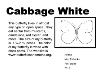 Reena
Mrs. Eubanks
First grade
2010
This butterfly lives in almost
any type of open space. They
eat nectar from mustards,
dandelions, red clover, and
mints. The size of my butterfly
is 1 ¾-2 ¼ inches. The color
of my butterfly is white with
black spots. The website is
www.butterfliesandmoths.org.
 