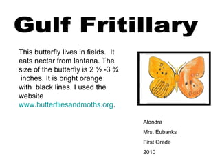 Alondra
Mrs. Eubanks
First Grade
2010
This butterfly lives in fields. It
eats nectar from lantana. The
size of the butterfly is 2 ½ -3 ¾
inches. It is bright orange
with black lines. I used the
website
www.butterfliesandmoths.org.
 