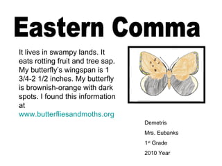 Demetris
Mrs. Eubanks
1st
Grade
2010 Year
It lives in swampy lands. It
eats rotting fruit and tree sap.
My butterfly’s wingspan is 1
3/4-2 1/2 inches. My butterfly
is brownish-orange with dark
spots. I found this information
at
www.butterfliesandmoths.org
 