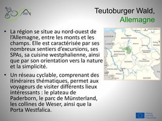 Teutoburger Wald,
Allemagne
• La région se situe au nord-ouest de
l’Allemagne, entre les monts et les
champs. Elle est caractérisée par ses
nombreux sentiers d’excursions, ses
SPAs, sa cuisine westphalienne, ainsi
que par son orientation vers la nature
et la simplicité.
• Un réseau cyclable, comprenant des
itinéraires thématiques, permet aux
voyageurs de visiter différents lieux
intéressants : le plateau de
Paderborn, le parc de Münsterland,
les collines de Weser, ainsi que la
Porta Westfalica.
 