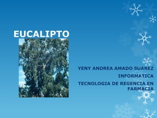 EUCALIPTO

YENY ANDREA AMADO SUAREZ
INFORMATICA
TECNOLOGIA DE REGENCIA EN
FARMACIA

 