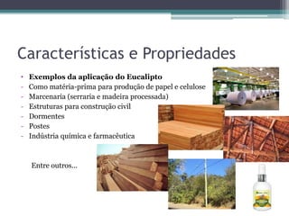 Características e Propriedades
• Exemplos da aplicação do Eucalipto
- Como matéria-prima para produção de papel e celulose
- Marcenaria (serraria e madeira processada)
- Estruturas para construção civil
- Dormentes
- Postes
- Indústria química e farmacêutica
Entre outros...
 