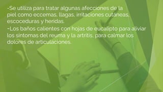 -Se utiliza para tratar algunas afecciones de la
piel como eccemas, llagas, irritaciones cutáneas,
escoceduras y heridas.
-Los baños calientes con hojas de eucalipto para aliviar
los síntomas del reuma y la artritis, para calmar los
dolores de articulaciones.
 